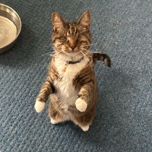 Meet your Posher, Chrissy